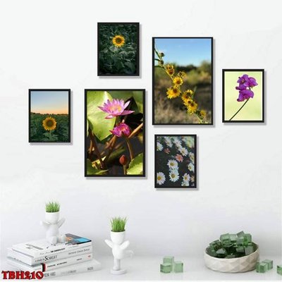 File ảnh File tranh bộ 6 tấm hoa sen hoa hướng dương TBH210 (gốc) in PP, decal