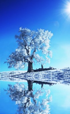 Mua file tranh gốc File tranh đứng lối vào TD2442 tại Filetranh.com