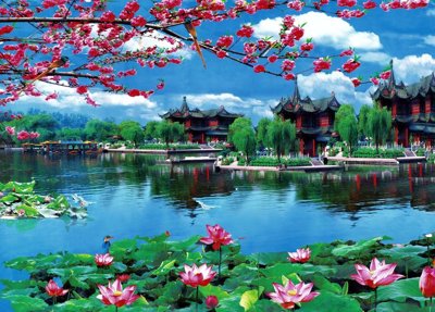 File tranh File tranh đứng lối vào TD2444 (ảnh gốc) in trần nhà