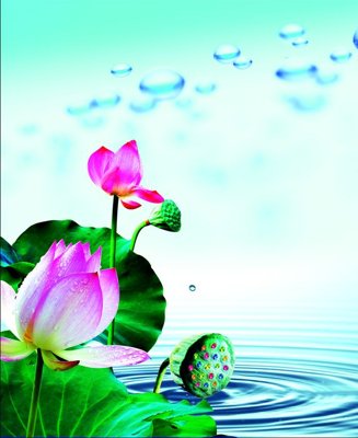 Chi tiết file ảnh File tranh đứng lối vào TD2673 sắc nét