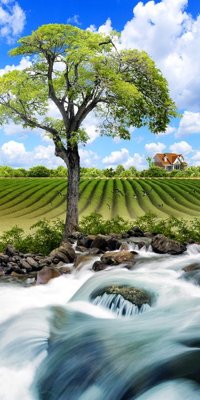 File in mica File tranh đứng lối vào TD2721 (ảnh gốc) đẹp