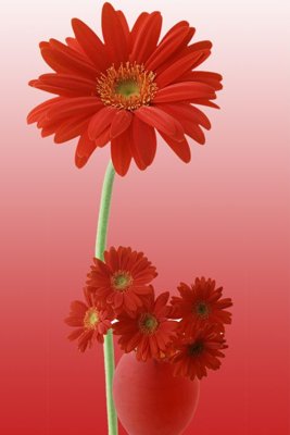 Tải file tranh File tranh đứng lối vào TD2764 (gốc) tại Filetranh.com