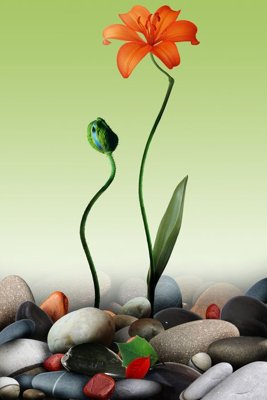 File tranh File tranh đứng lối vào TD2767 (gốc) chủ đề thành phố