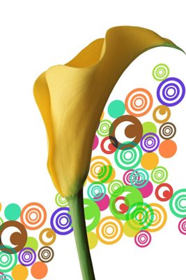 File gốc File tranh đứng lối vào TD2889 (in ấn) không giới hạn