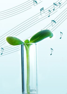 File tranh File tranh đứng lối vào TD2898 (ảnh gốc) không bị mờ