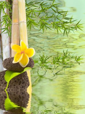 Chi tiết file gốc File tranh đứng lối vào TD3012 (cho in tráng gương)