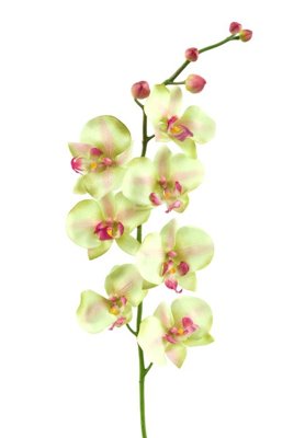 Tải file File tranh đứng lối vào TD3051 (gốc) in ấn ngay lập tức