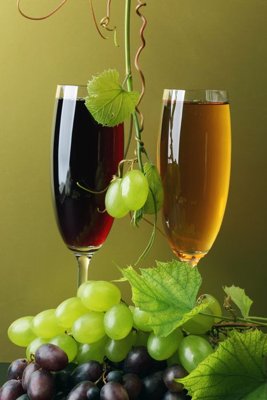 Tải file File tranh đứng lối vào TD3161 (gốc) in ấn ngay lập tức