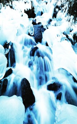 Download file gốc File tranh đứng lối vào TD3205 (in lụa) hoa lá