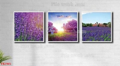 File gốc File tranh bộ in tráng gương hiện đại TK785 (AI/EPS) cho in ấn