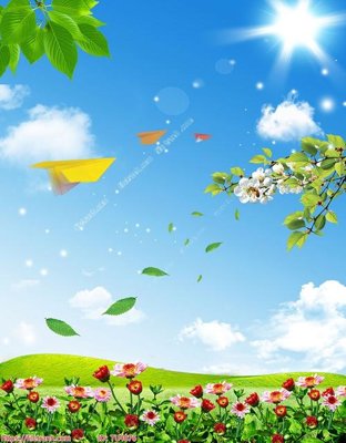 Download file gốc File in tủ nhựa TU4076 (in lụa) nghệ thuật