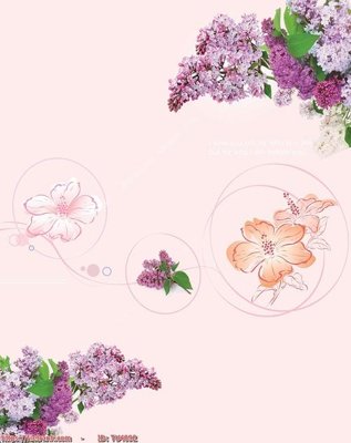 File gốc File in tủ nhựa TU4092 (in tráng gương) nghệ thuật