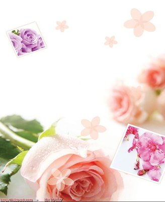 File tranh File in tủ nhựa TU4167 (bản gốc) treo quán cafe