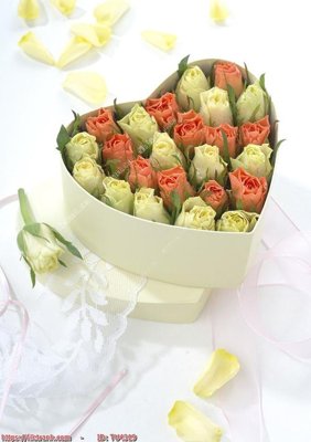 Tải file PSD File in tủ nhựa TU4319 (nguyên layer) để in