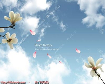 Chi tiết file ảnh File in tủ nhựa TU4333 sắc nét