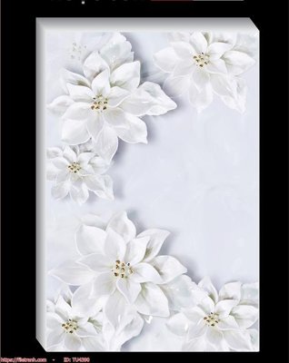 File in mica File in tủ nhựa TU4390 (ảnh gốc) đẹp