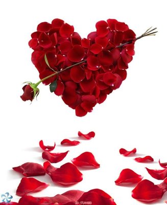 Download file gốc File in tủ nhựa TU4480 (in mica) logo