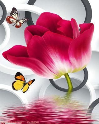 Chi tiết file tranh tráng gương File in tủ nhựa TU5363 (ảnh gốc)