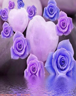 File tranh File in tủ nhựa TU5453 (gốc) chủ đề thiên nhiên