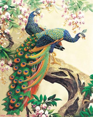 Tải file File in tủ nhựa TU5459 (ảnh gốc) in tráng gương