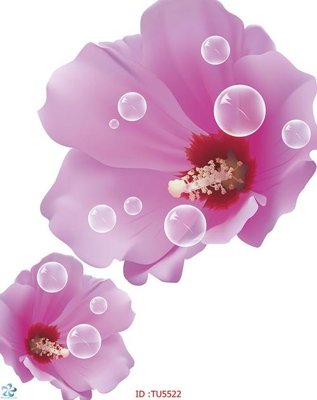 Tải file gốc File in tủ nhựa TU5522 (in tráng gương) cao cấpFile gốc File in tủ nhựa TU5522 (in ấn) phiên bản độc quyền