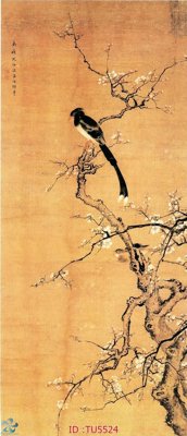 Tải file gốc File in tủ nhựa TU5524 (bản PSD) chỉnh sửa được