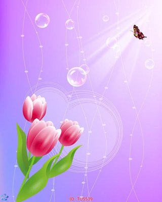 File tranh File in tủ nhựa TU5539 (bản gốc) treo tường