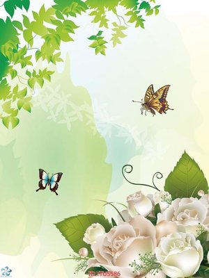 File gốc File in tủ nhựa TU5586 (in tráng gương) sang trọng