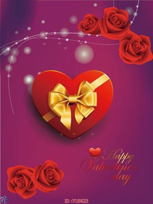 File gốc File in tủ nhựa TU5623 (dành cho trang trí nội thất)