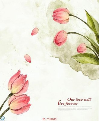 Tải file File in tủ nhựa TU5683 (ảnh gốc) in tráng gương