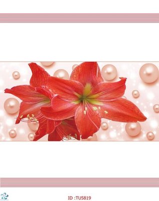 File in mica File in tủ nhựa TU5819 (bản gốc) siêu trong