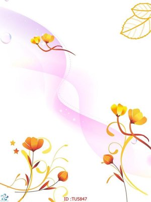 File ảnh File in tủ nhựa TU5847 (gốc) trang trí khách sạn