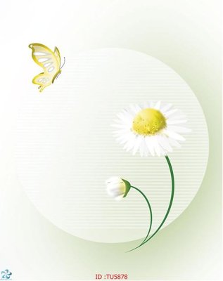 File tranh File in tủ nhựa TU5878 (ảnh gốc) độ nét vượt trội