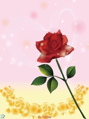 Download file gốc File in tủ nhựa TU6040 (in lụa) cao cấp