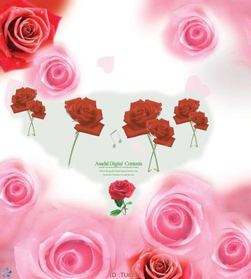 File gốc File in tủ nhựa TU6051 (in 3D) nghệ thuật