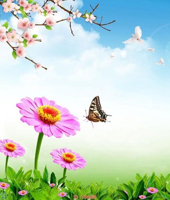 Download file gốc File in tủ nhựa TU6068 (in lụa) cao cấp