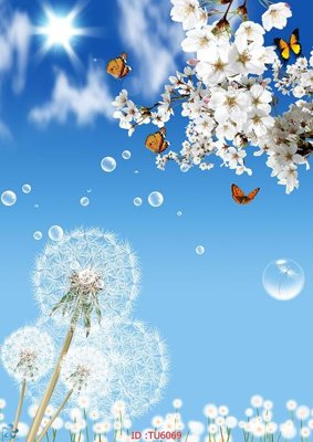 Download file gốc File in tủ nhựa TU6069 (in lụa) hoa lá