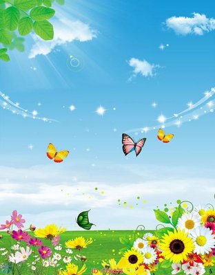 File tranh File in tủ nhựa TU6075 (bản gốc) treo quán cafe