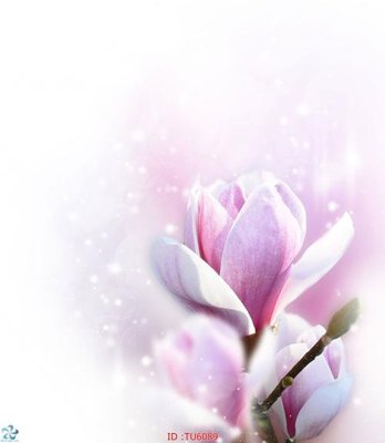 Download file File in tủ nhựa TU6089 (chuẩn in) File in tủ nhựa TU6089