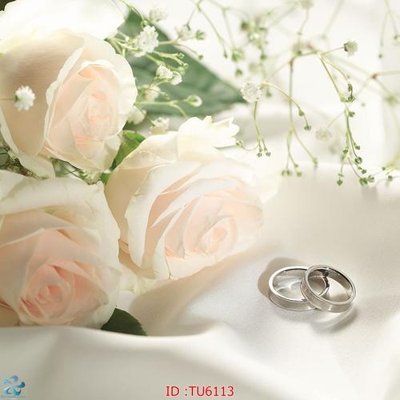 File tranh File in tủ nhựa TU6113 (ảnh gốc) độ nét vượt trội