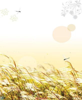 Download file gốc File in tủ nhựa TU6116 (in mica) trang trí