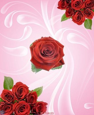 File in ấn File in tủ nhựa TU6123 (bản gốc) cao cấp