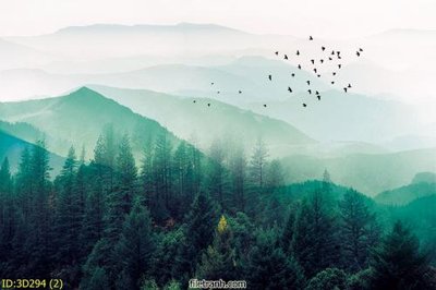 File tranh in tráng gương Tường nền 3D hiện đại 3D294 (siêu nét)