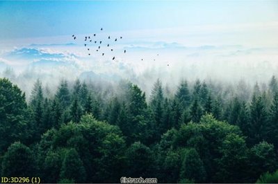 Ảnh gốc Tường nền 3D hiện đại 3D296 (nét căng) in mica