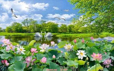 Tải file File tranh phong thủy 9107 (gốc) chủ đề tôn giáo