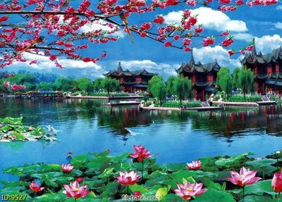 File tranh File tranh phong thủy 9527 (file gốc) chủ đề phong thủy