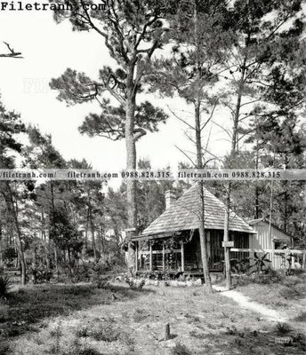 File gốc A Summer Place_ 1906 (phong cách) tối giản