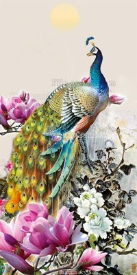 File in lụa File gốc tranh chim công CC121 (chất lượng cao) File gốc tranh chim công CC121