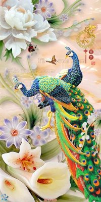 File tranh in mica File gốc tranh chim công CC129 (độ phân giải cao)