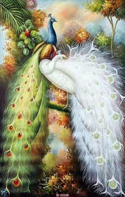 File PSD File gốc tranh chim công CC136 (gốc) nhiều lớp (multi-layer)